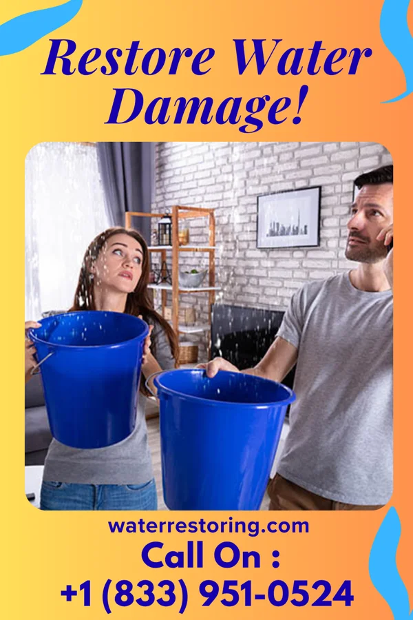 water restoration Patriot Storm Damage Authority Palmview