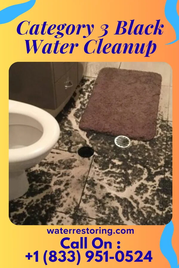 Category 3 Black Water Cleanup in Palmview, TX