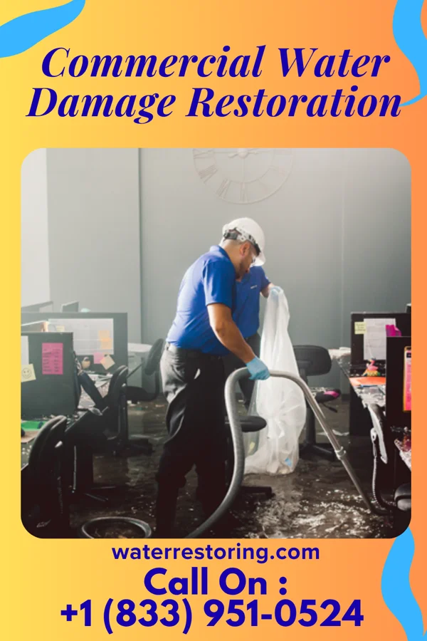 Commercial Water Damage Restoration in Palmview, TX